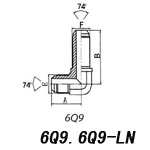 6Q9.6Q9-LN