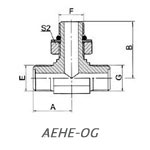 AEHE-OG
