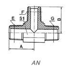 AN