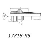 17818-R5