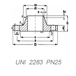 UNI  2283  PN25
