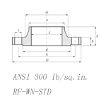 ANSI 300 Ib/sq.in.RF-WN-STD