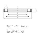 ANSI 600 Ib/sq.in.RF-WNBLND